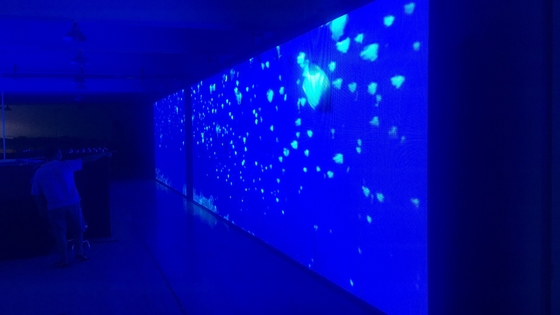 Signe programmable fixe extérieur IP65 du chapiteau LED pour la publicité